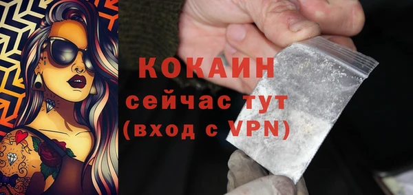 соль курить ск Алзамай