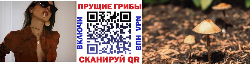 Псилоцибиновые грибы MAGIC MUSHROOMS  Дубна 